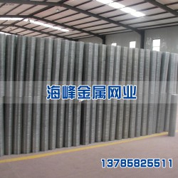 墻體保溫鋼絲網材質，大量供應各種價位合理的墻體防裂鋼絲網