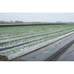 想買品牌好的除草地膜，就到開元塑料   ——山東地膜