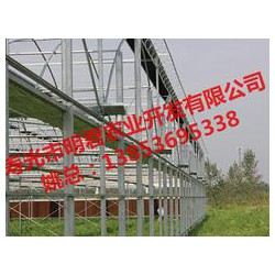【誠薦】智能溫室大棚建設(shè)訊息，溫室大棚搭建報價