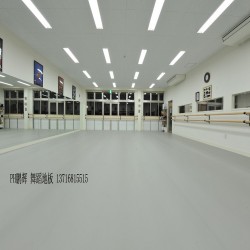 PVC舞蹈專用地膠，PVC專業(yè)舞蹈地膠