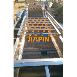 諸城佳品全自動清洗機 大型洗菜機 鼓泡翻浪清洗線