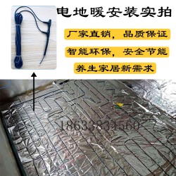 進口碳纖維原材料專業(yè)生產地暖專用碳纖維加熱線廠家批發(fā)零售