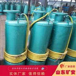 BQS(W)2.2KW礦用潛水排沙電泵使用穩(wěn)定